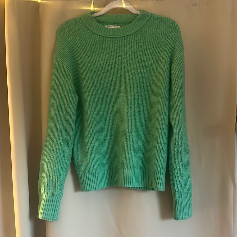 American Eagle Outfitters Green Crew Neck Sweater